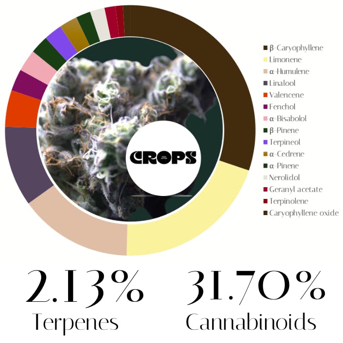 Photograph of product: Soap by Crops | Flower | 7.0g