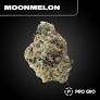 Photograph of product: Flower | Pre-Packed | Moonmelon | 3.5g | Pro Gro