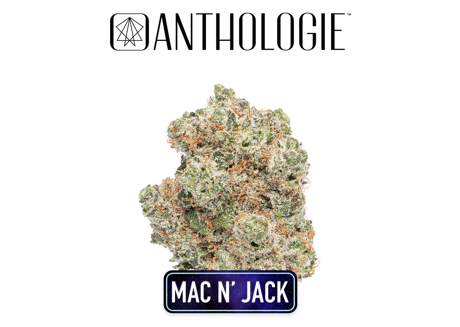 Photograph of product: Anthologie Mac N Jack Small Bud 7g