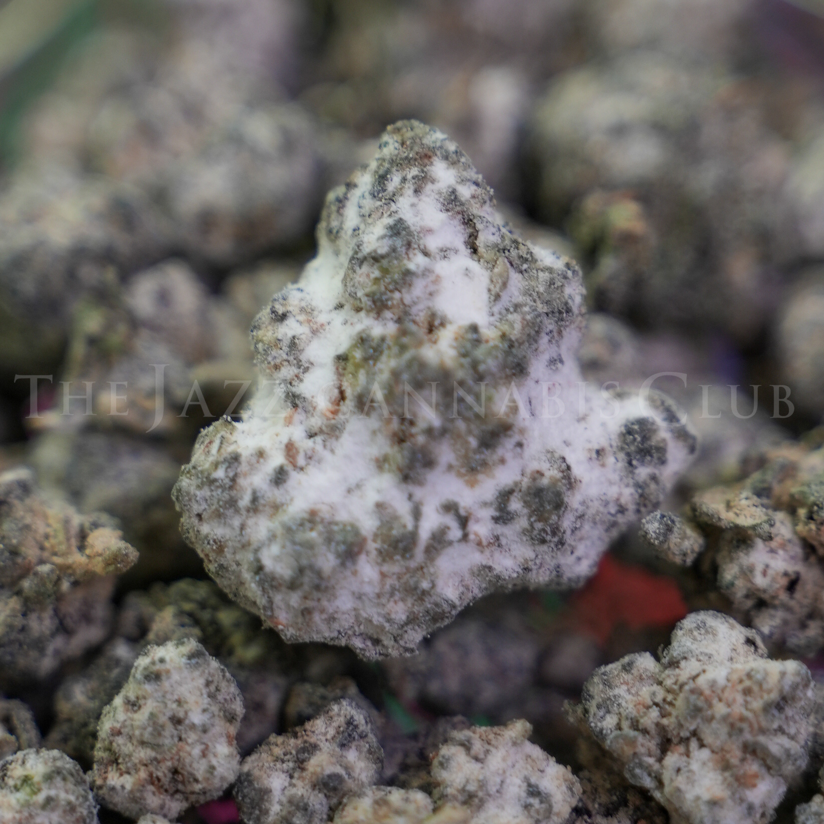 Photograph of product: Silverdome Diamond - Infused Flower - 28g