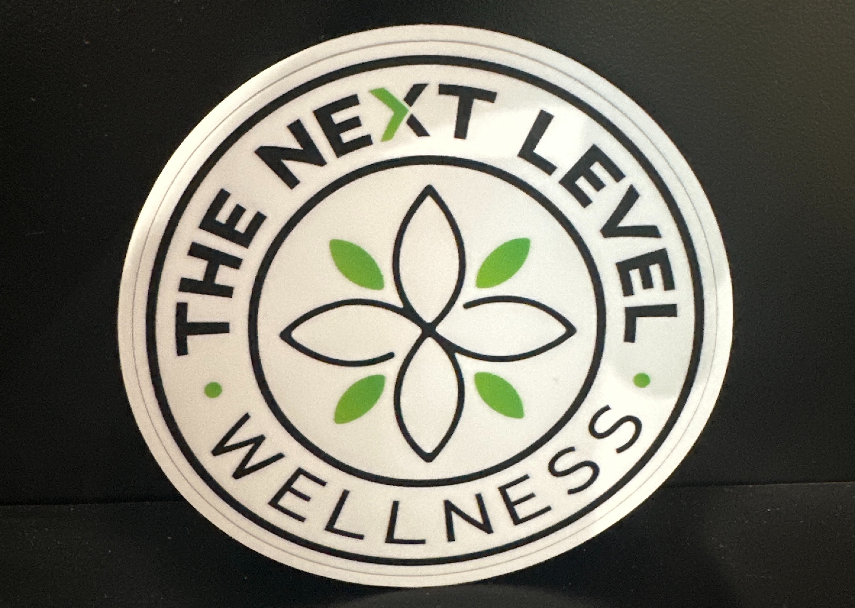 Photograph of product: TNLW Logo Sticker Clarksburg