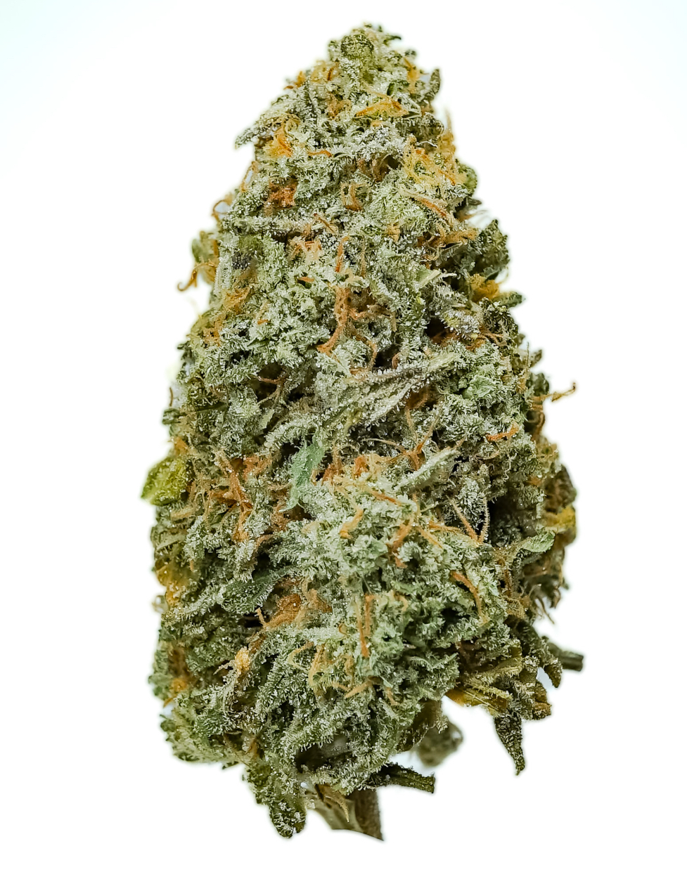Photograph of product: Pruf Cultivar Gassed Out #02 - 7g