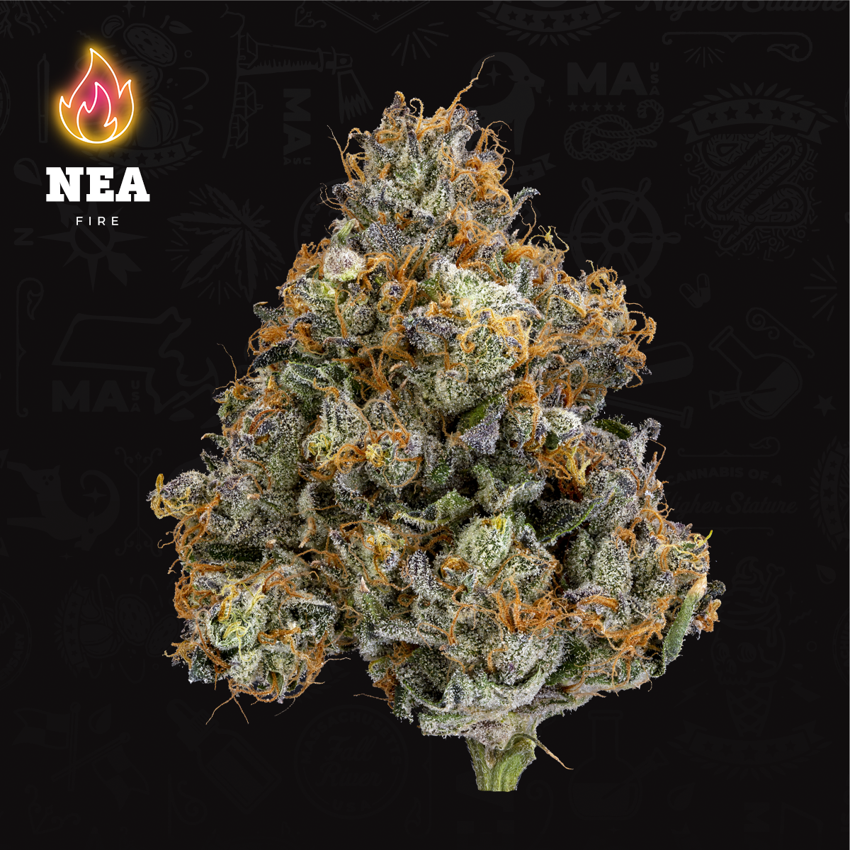 Photograph of product: Lava Cake 3.5g (I)