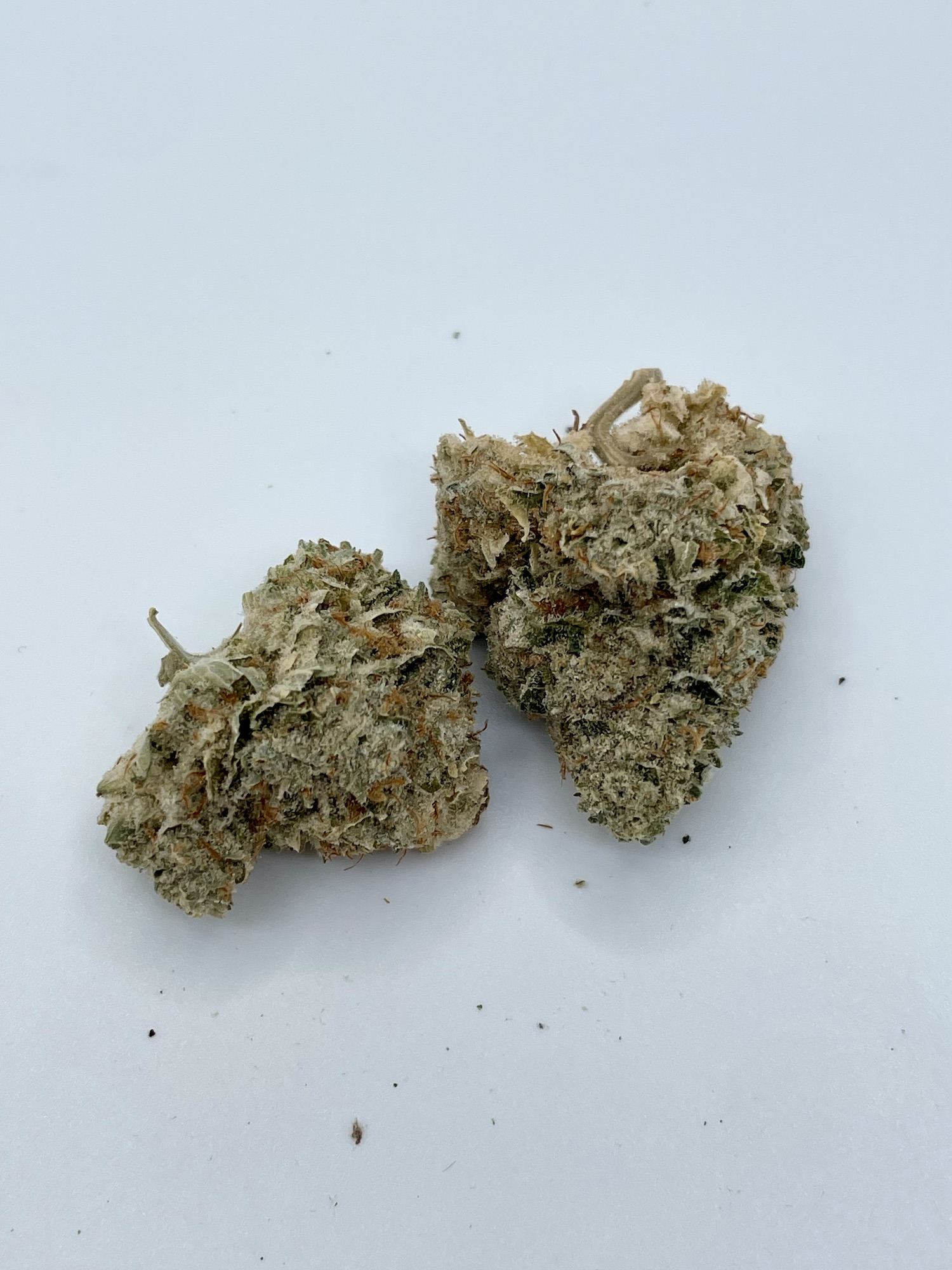 Photograph of product: GreenTrap - GMO (3.5G)