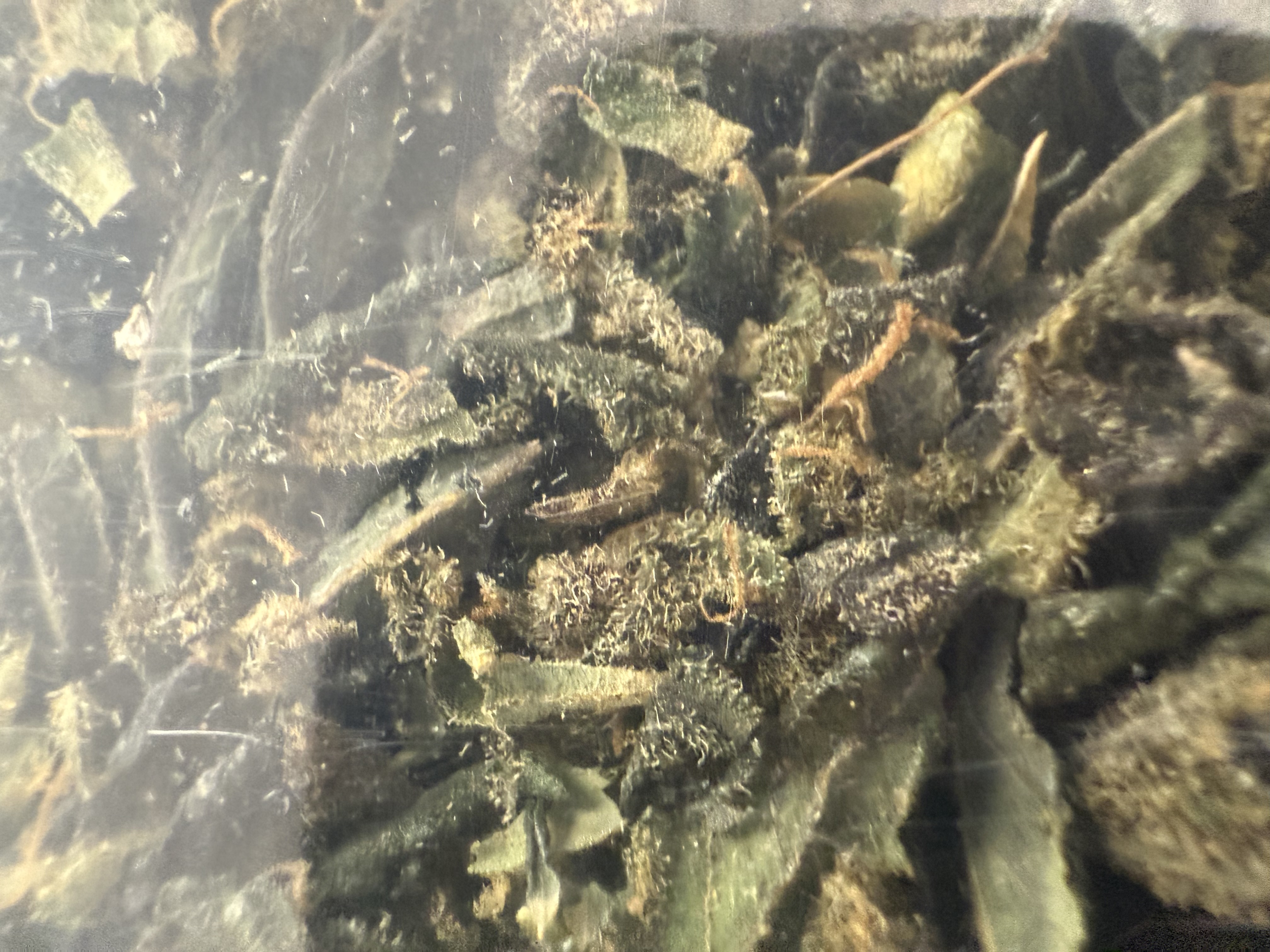 Photograph of product: Shake N Trim Flower - 28g