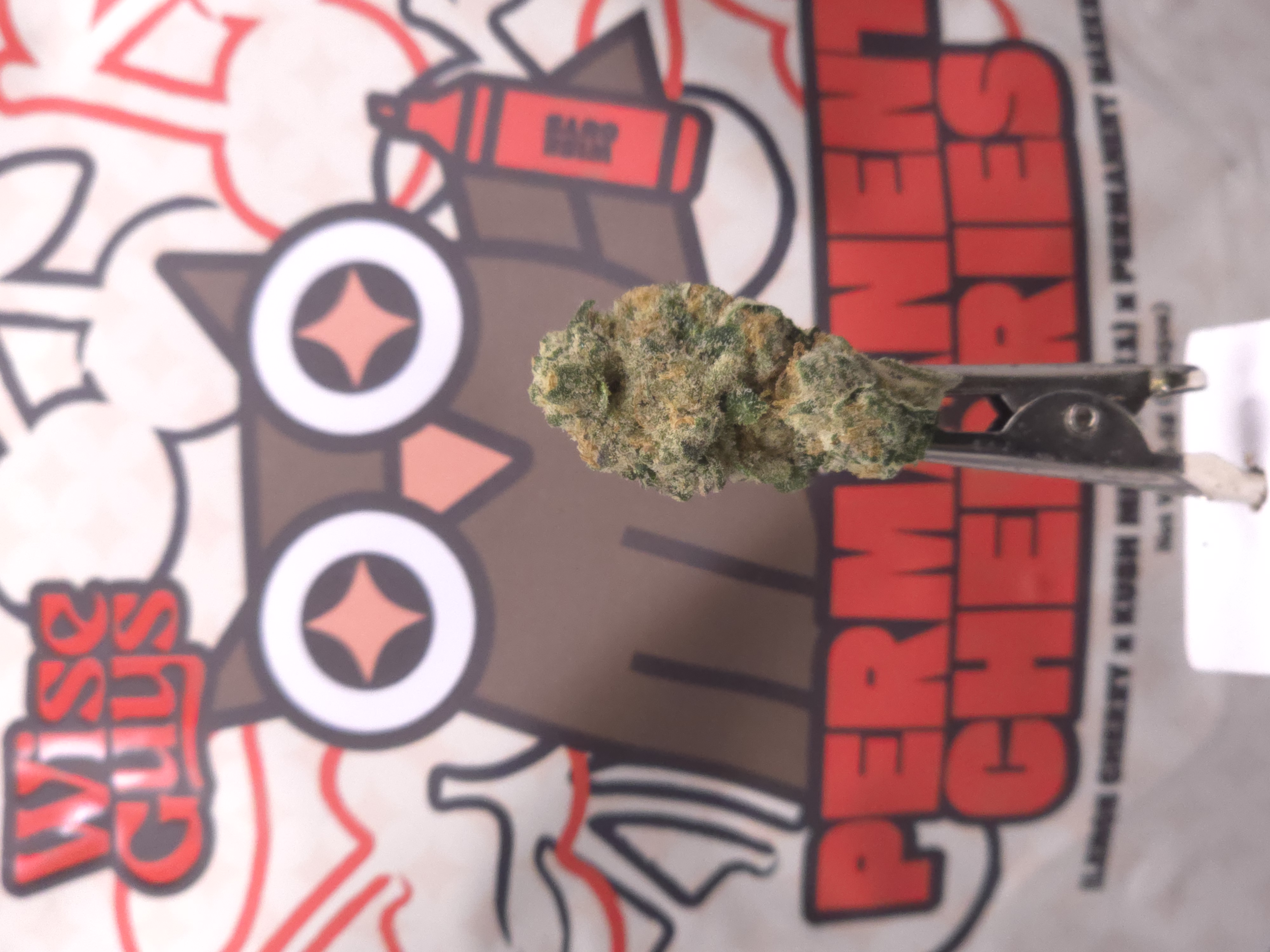 Photograph of product: Wise Guys Farms | Permanent Cherries Prepack - 3.5g