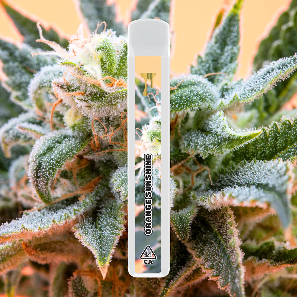 Photograph of product: Orange Sunshine Cryo Cured Live Resin Disposable (S)