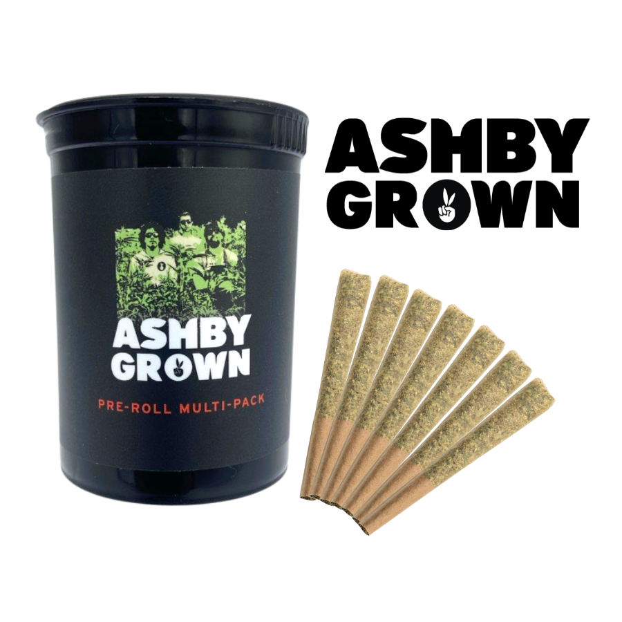 Photograph of product: Jelly Donutz PreRoll 7 Pack