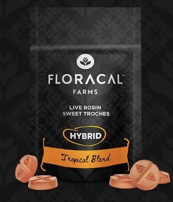Photograph of product: Tropical Blend | 10mg Live Rosin Troche | 10pk