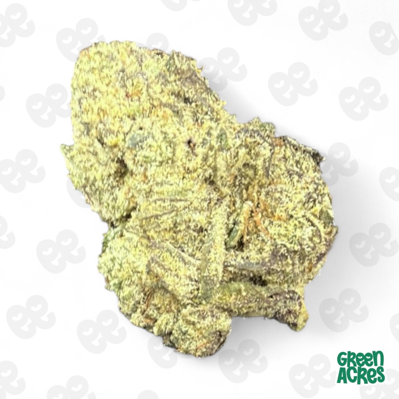 Photograph of product: (*) Healthy Greens: Detroit Runtz (H) - 7g