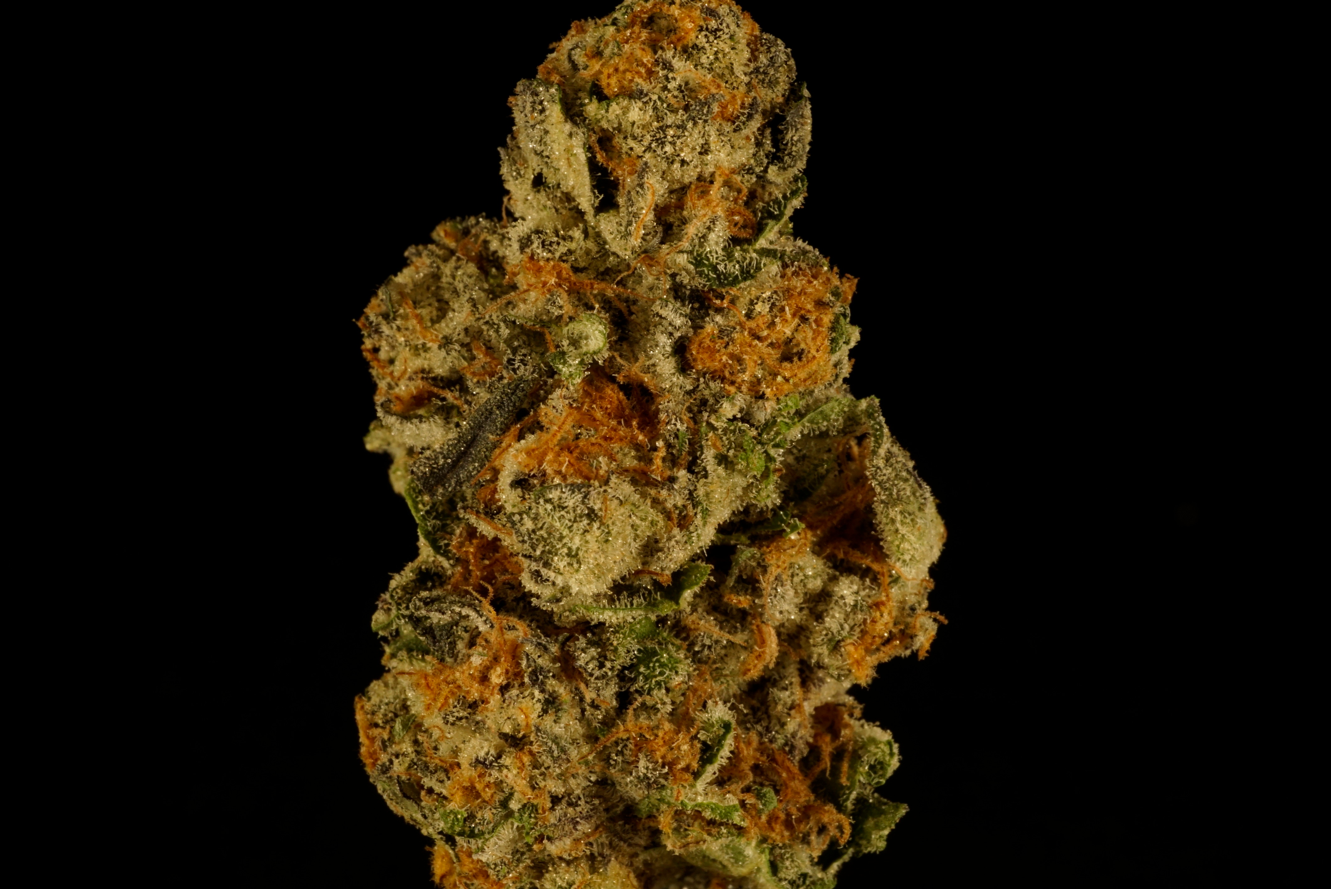 Photograph of product: Pink Zkittles - 28g