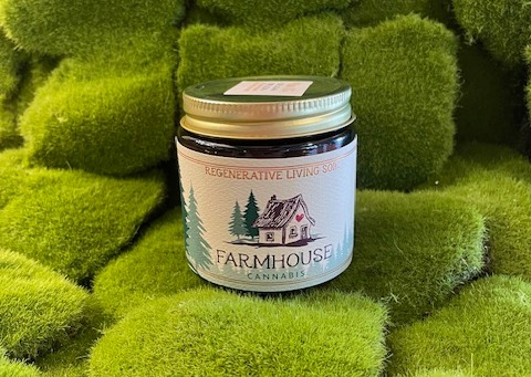 Photograph of product: Pre Pack | Maui OG | Farmhouse Oui'd - 3.5g