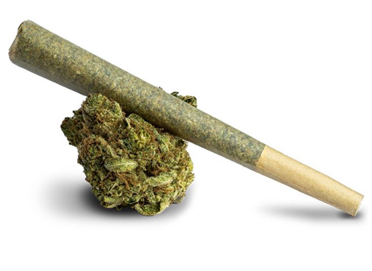 Photograph of product: Oc Tang | 1g Pre-Roll