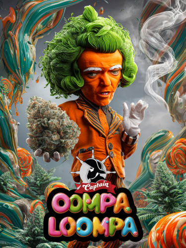 Photograph of product: Captain Joint-Oompa Loompa(S)