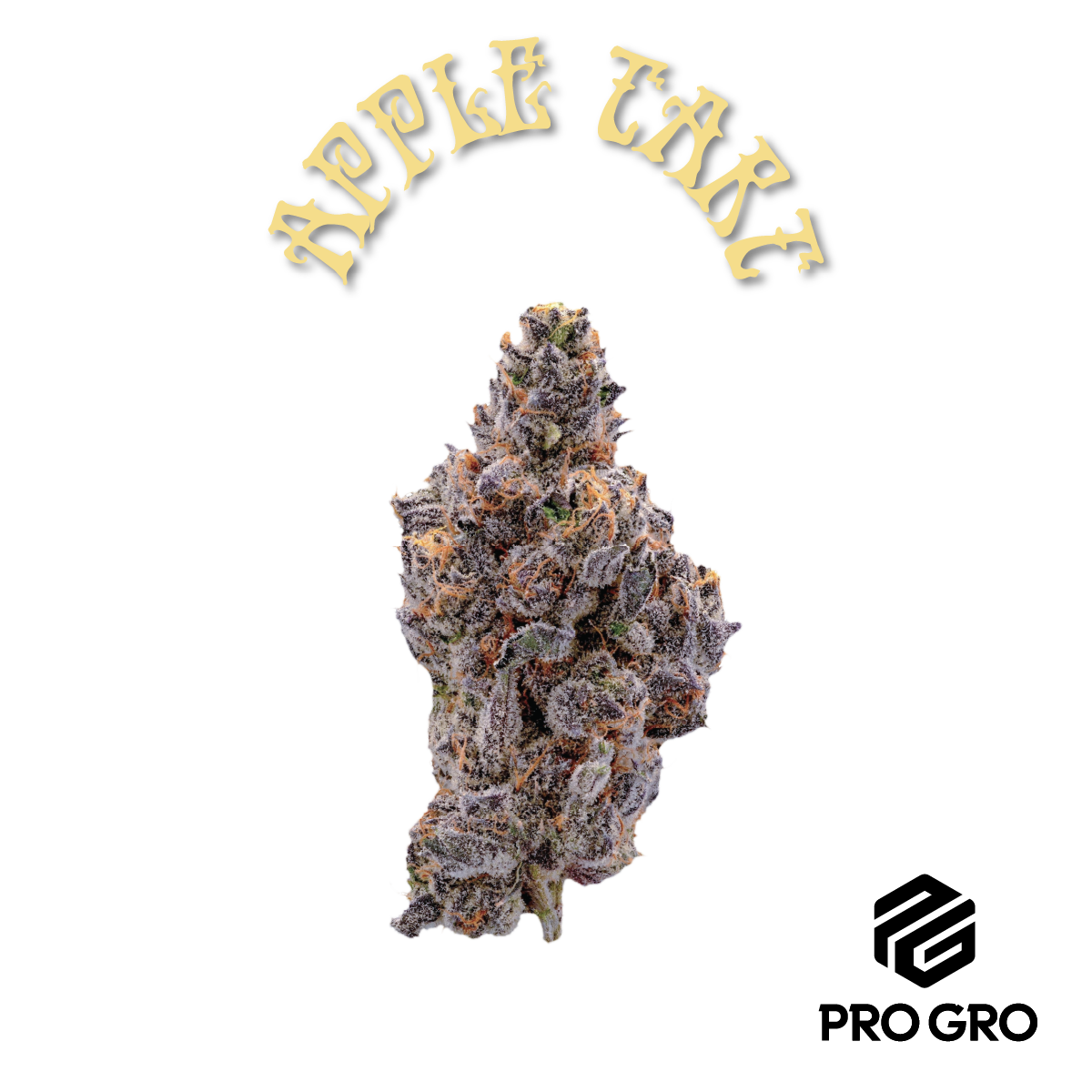 Photograph of product: ProGro Apple Tart Buds - 1g