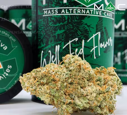 Photograph of product: Sweet Tree 1/8 - 3.5g