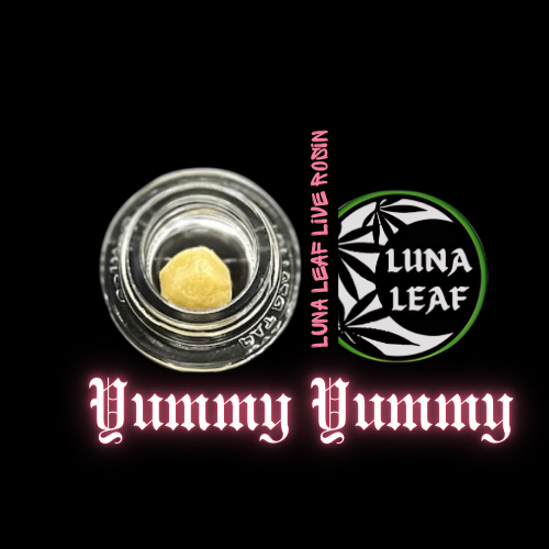 Photograph of product: LUNA LEAF | Lazer Jet | Live au chocolat Rosin