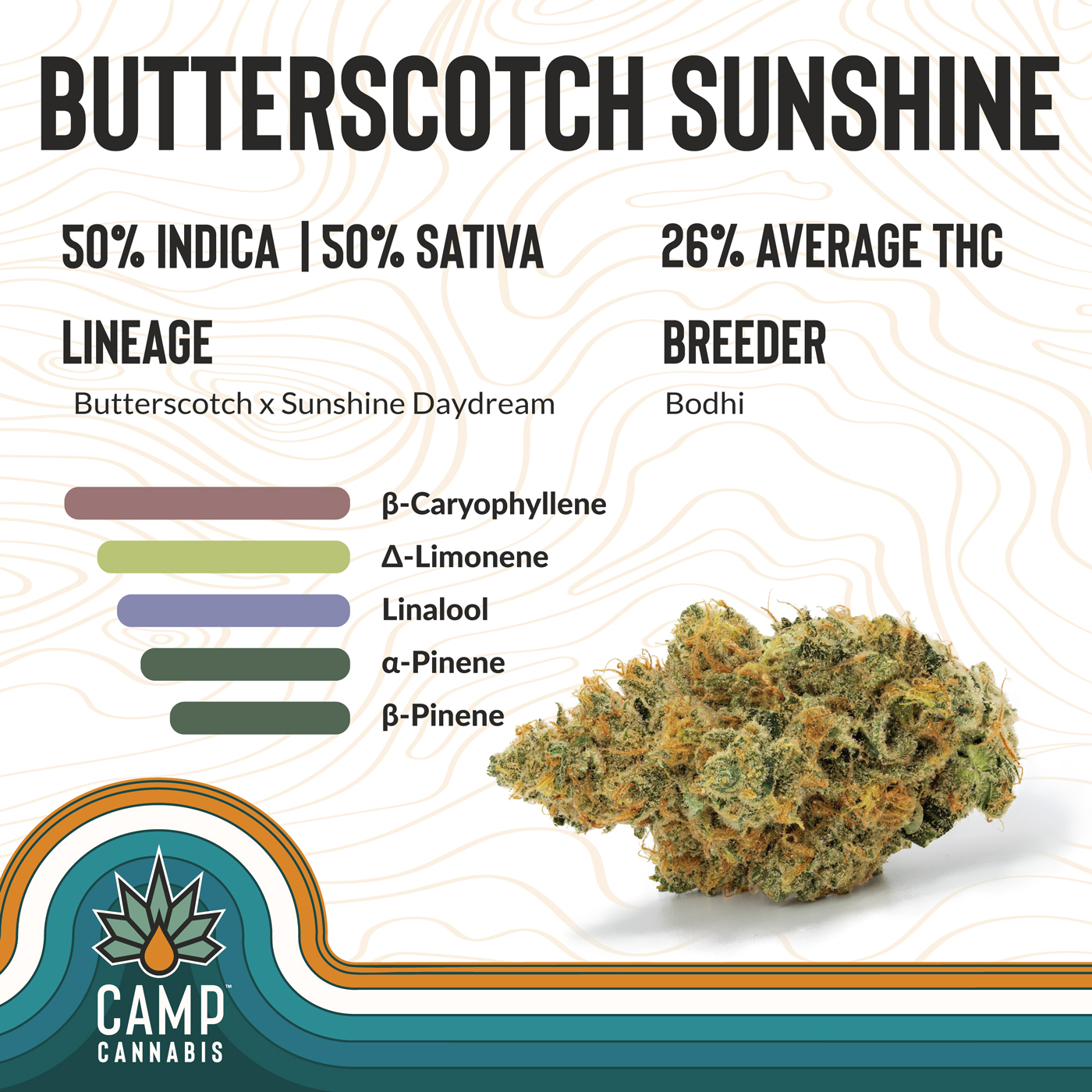 Photograph of product: Blockberry | 3.5g | Camp