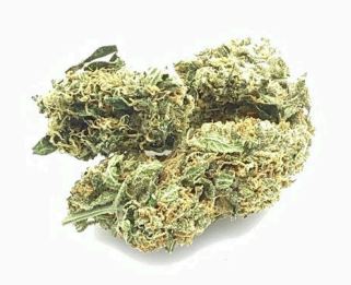 Photograph of product: Texas Shoreline Whole Flower T27.99 (3-00902) - 14g