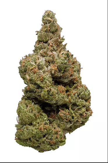 Photograph of product: Gorilla Glue - 1oz Premium Tier