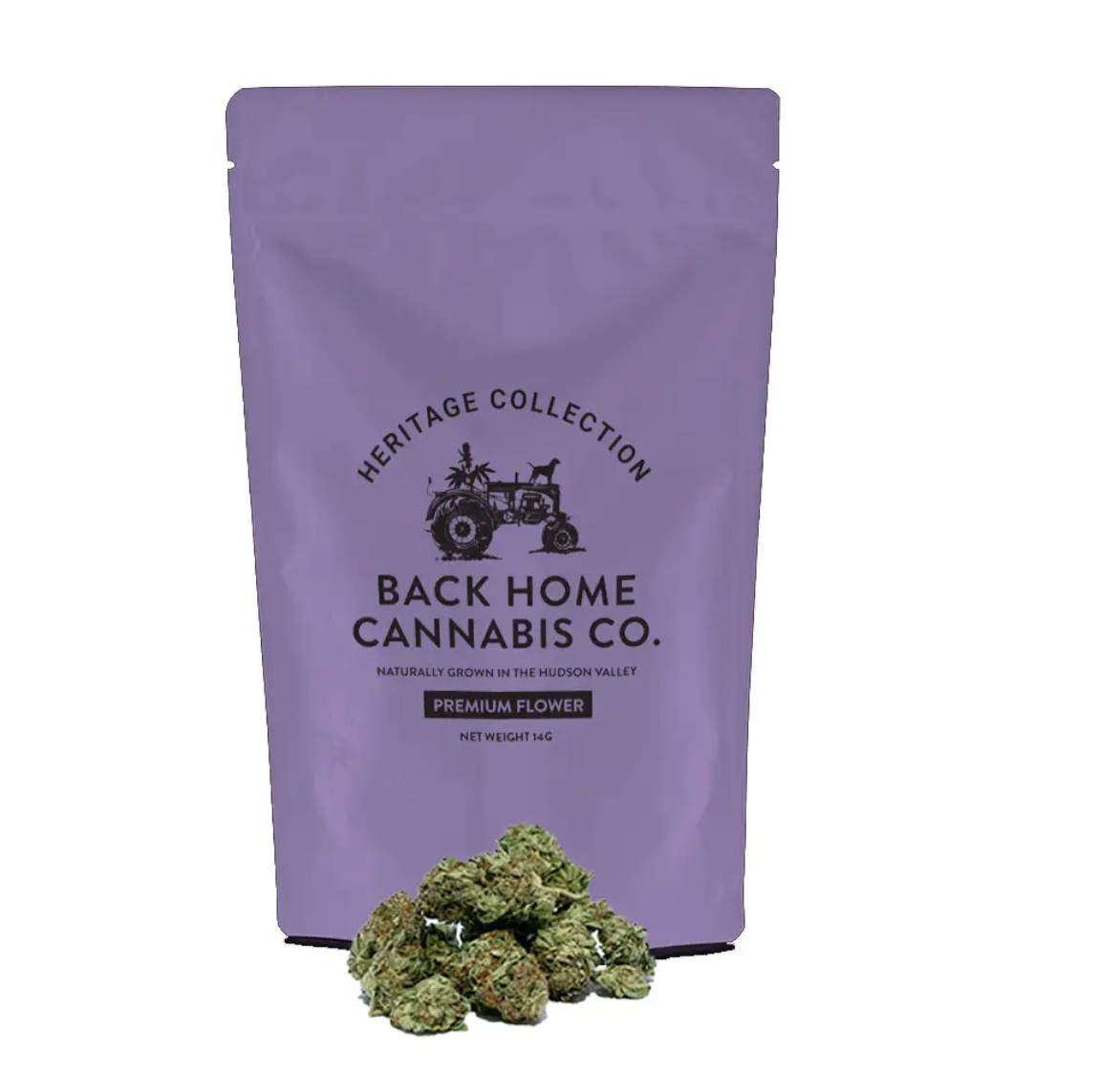 Photograph of product: Back Home Oui'd Co. | Northern Lights | Flower | 14g