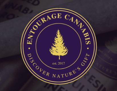 Photograph of product: Entourage Oui'd | Suga Spice | Live Resin Cartridge 1g