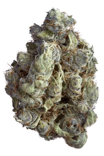 Photograph of product: Rock N Rye Gelato Buds by Goldkine - 1g