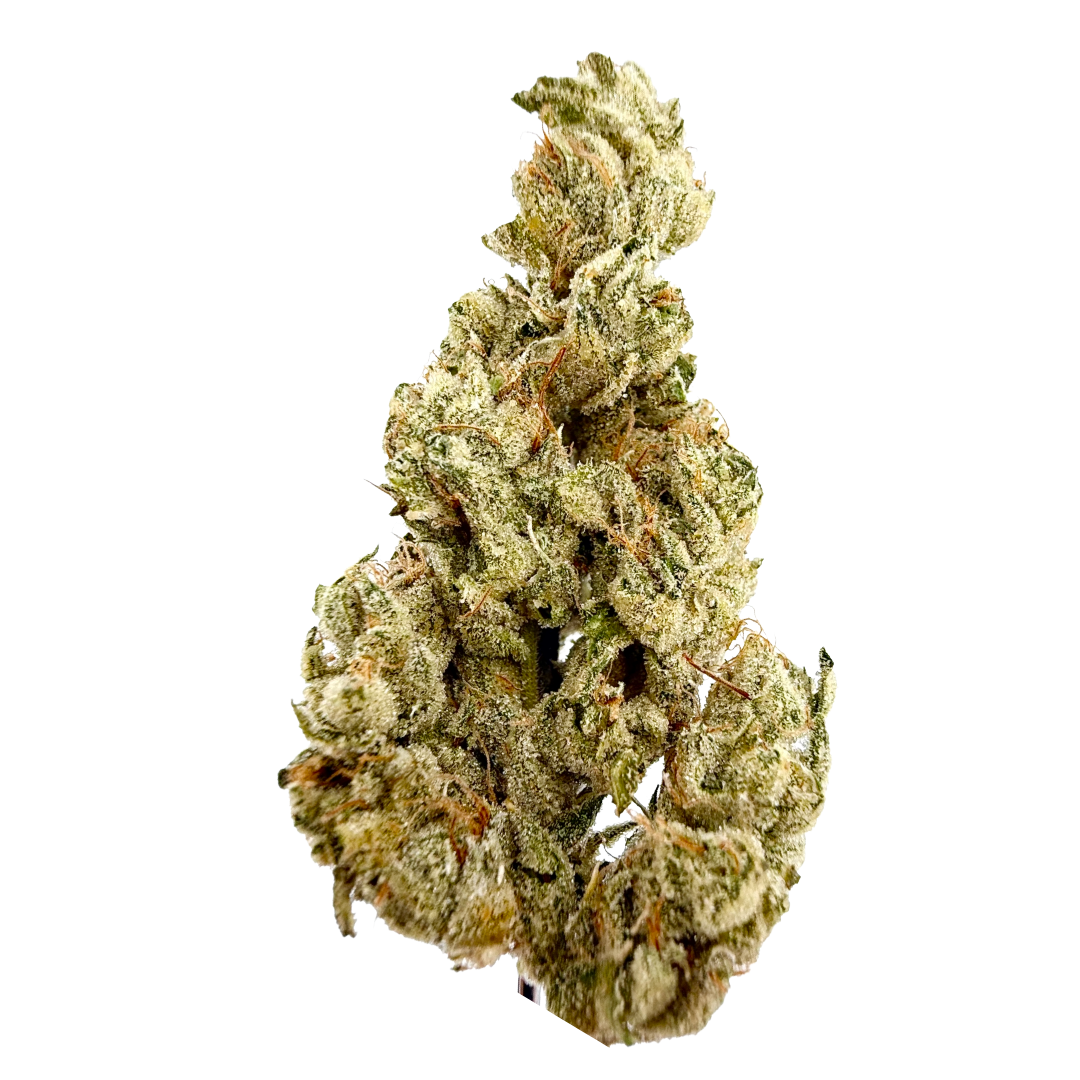 Photograph of product: A GOLDEN STATE - SHASTA BLOOM 3.5G