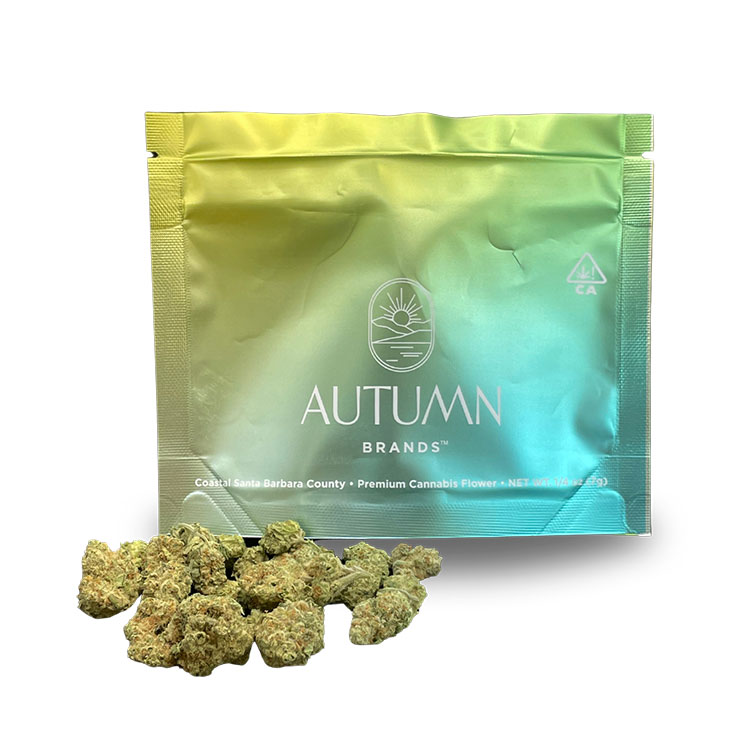 Photograph of product: MANGO HAZE FLOWER POUCH 7G