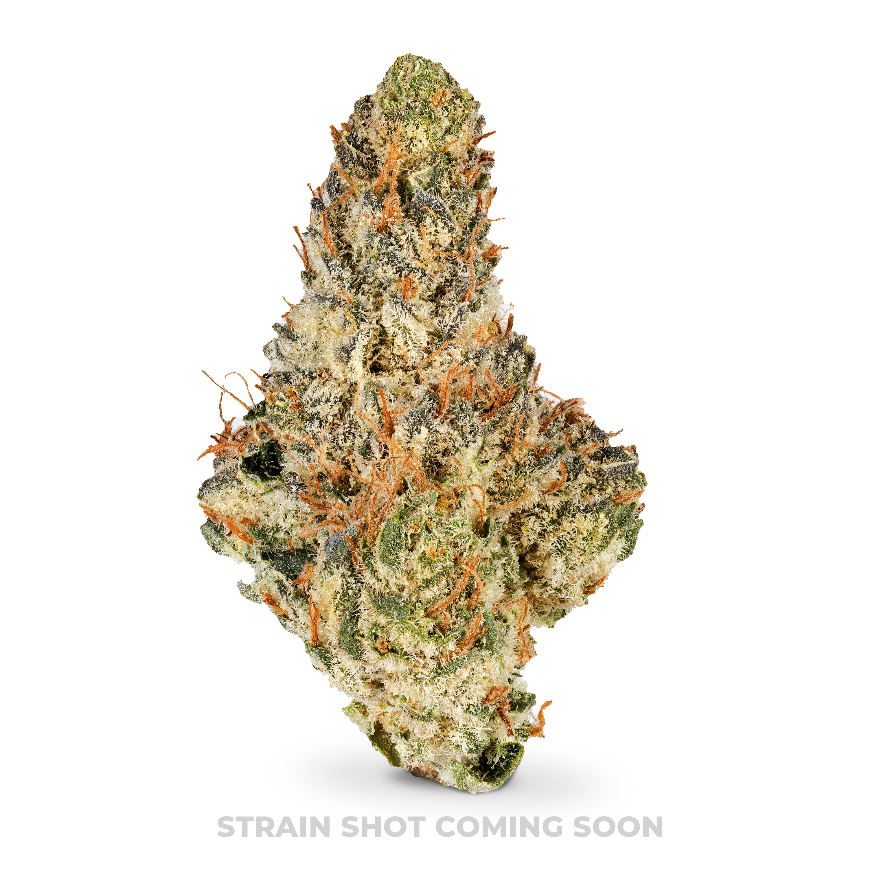 Photograph of product: Pledj x 4Way ($13 Special, No Discounts) - 3.5g
