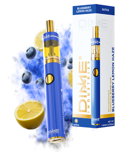 Photograph of product: Dime - Blueberry Lemon Haze - 2g Disposable