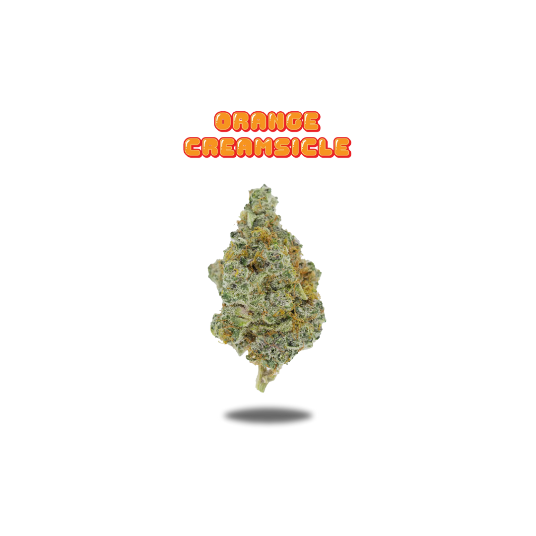 Photograph of product: Oakfruitland - Orange Creamsicle (Oui'd) Flower - 7g
