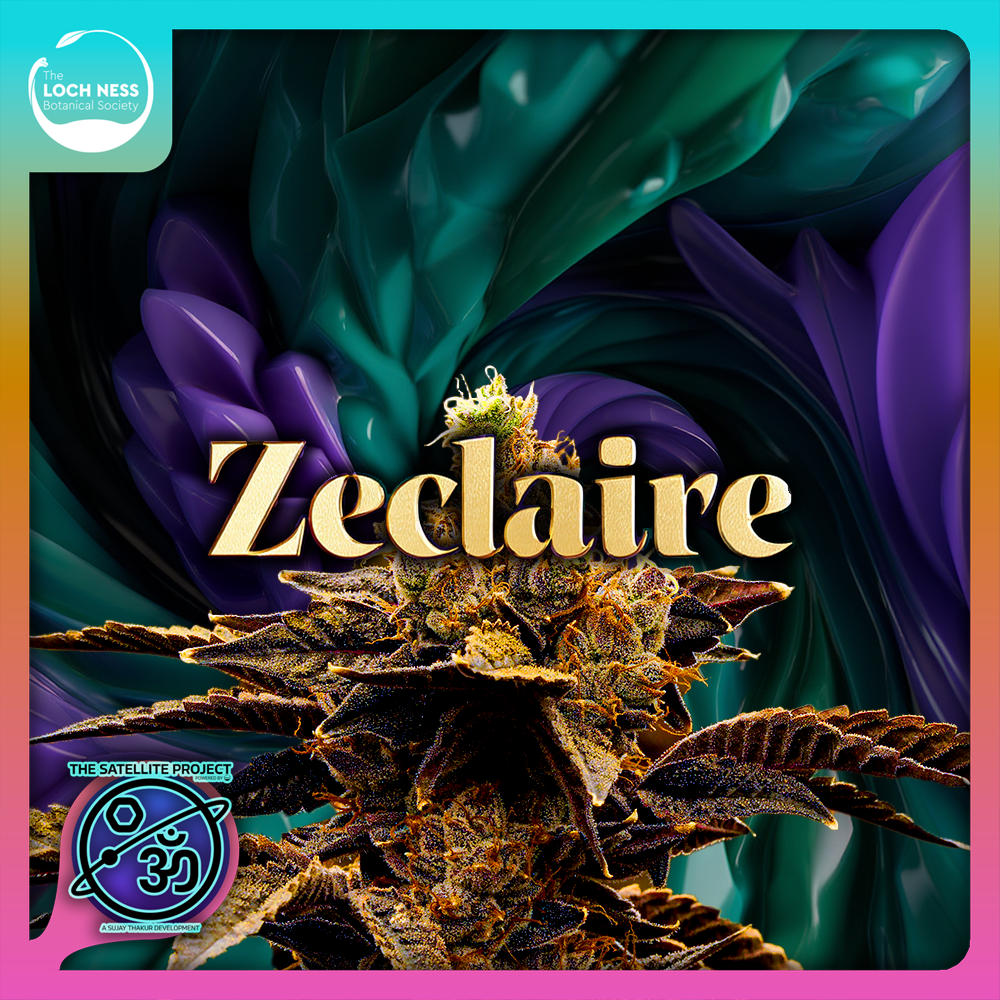 Photograph of product: Zeclair - Flower - 1g