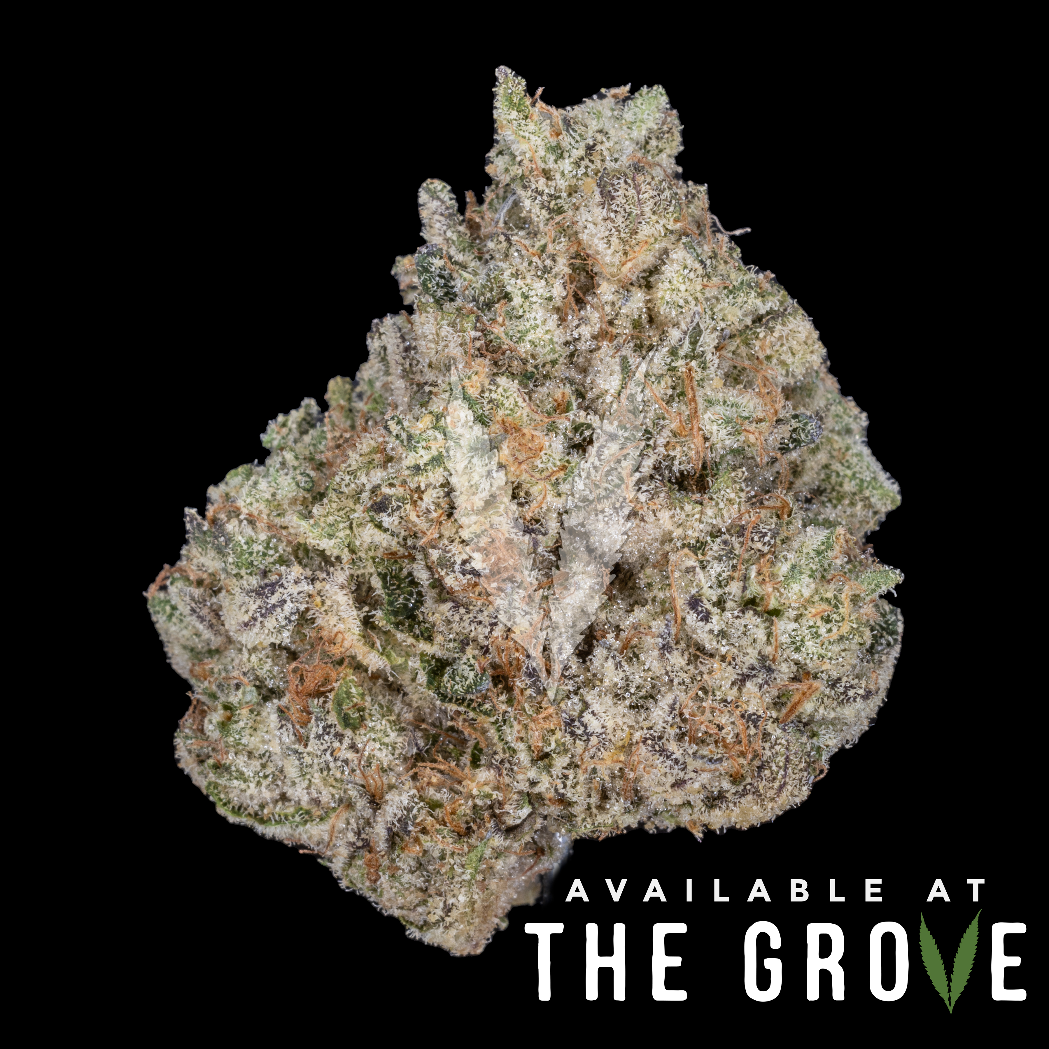 Photograph of product: CBX | Mount Zereal Kush - 3.5g