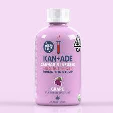 Photograph of product: KAN-ADE GRAPE 100MG
