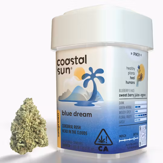 Photograph of product: Coastal Sun | Blue Dream - 7g