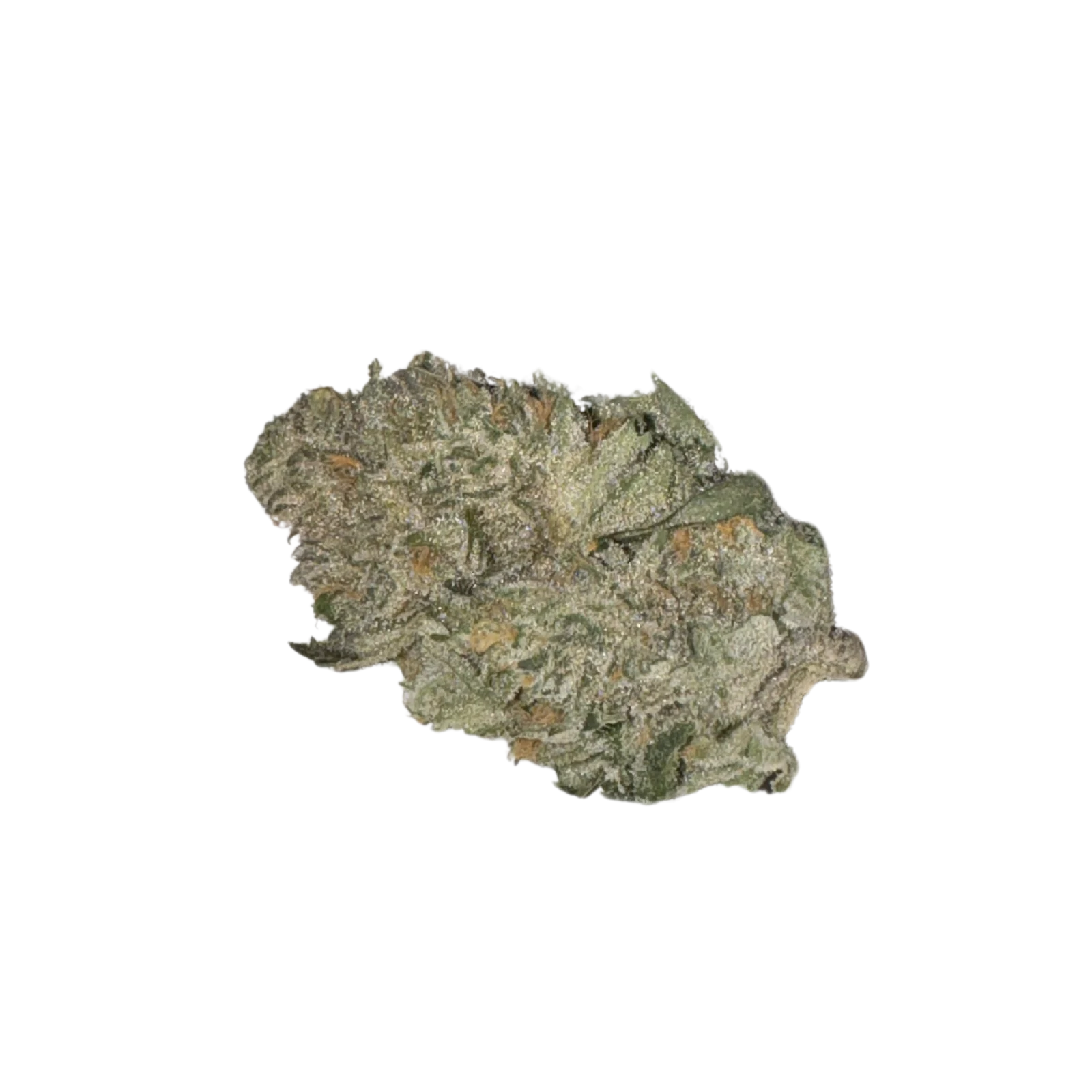 Photograph of product: CW Cake Crasher House Packed $180 - 28g