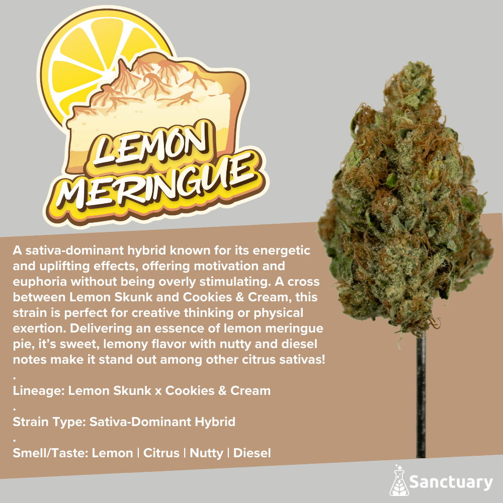Photograph of product: Sanctuary Medicinals | 3.5g Flower | Lemon Meringue