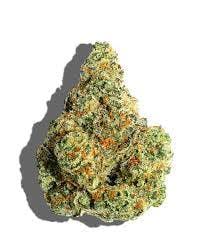 Photograph of product: NTH Farms - Bulk Flower - Lemon Cherry Pie Bronze - 28g