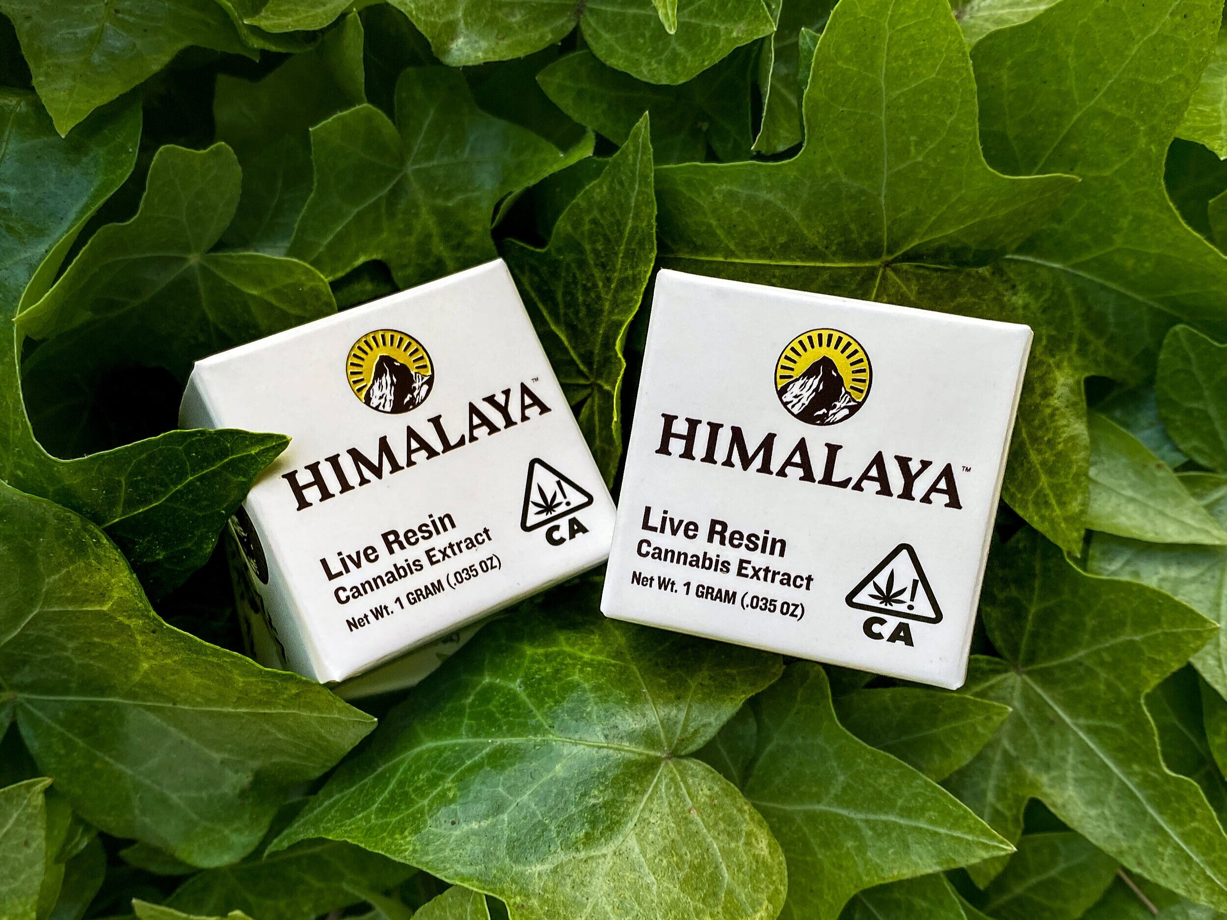 Photograph of product: PAVE (TERP SUGAR)