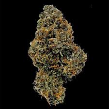 Photograph of product: FC | Tequila Sunrise | 28G Sungrown Flower