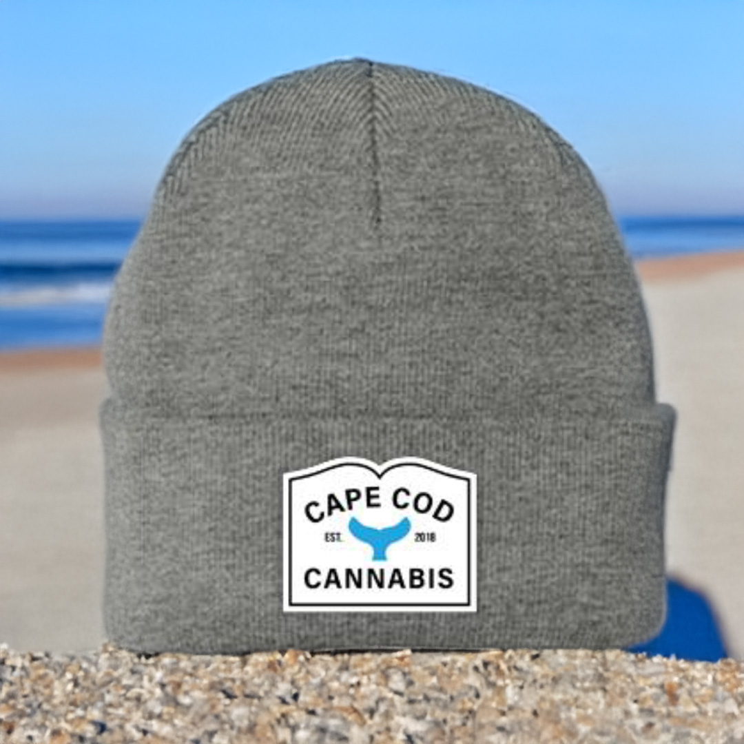 Photograph of product: Beanie | Signature Logo | Grey