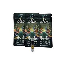 Photograph of product: 510 | Live Rosin | Rainbow Guava (S/H) olio