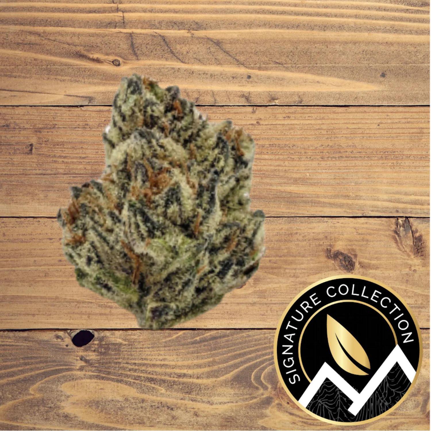 Photograph of product: Mandarin Cookies - Buds 3.5g
