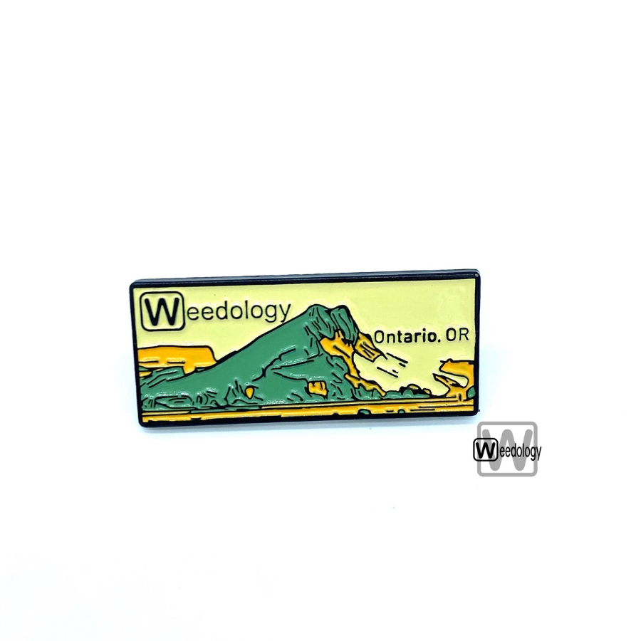 Photograph of product: Oui'dology BUTTE Pin - BOTH