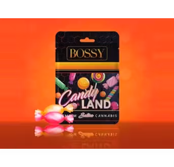 Photograph of product: Bossy - Blueberry Pancakes Cartridge