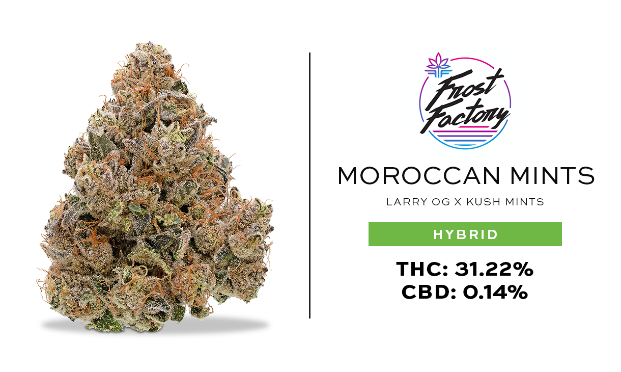 Photograph of product: Frost Factory - Moroccan Mints - Elite Shelf Flower - 28g