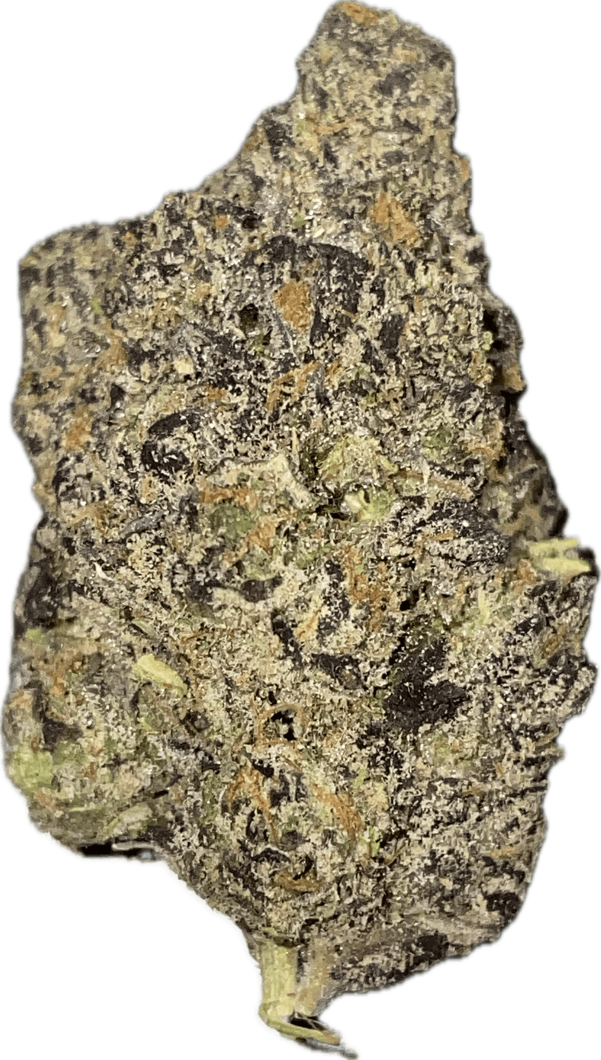 Photograph of product: True North - Boston Orange - Bulk Flower - 1g