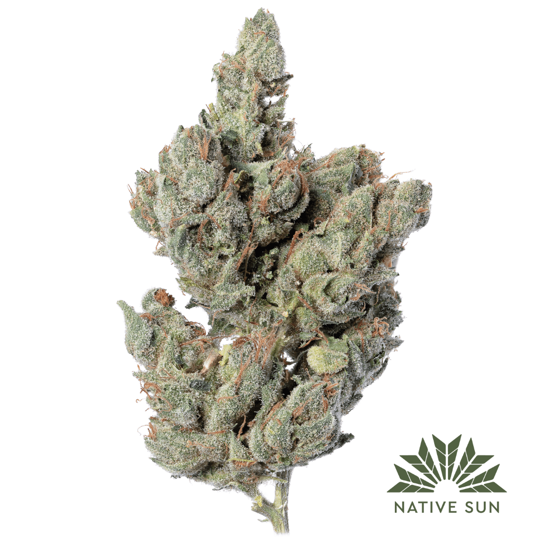 Photograph of product: Kosher Kush (Native Sun) - 3.5g