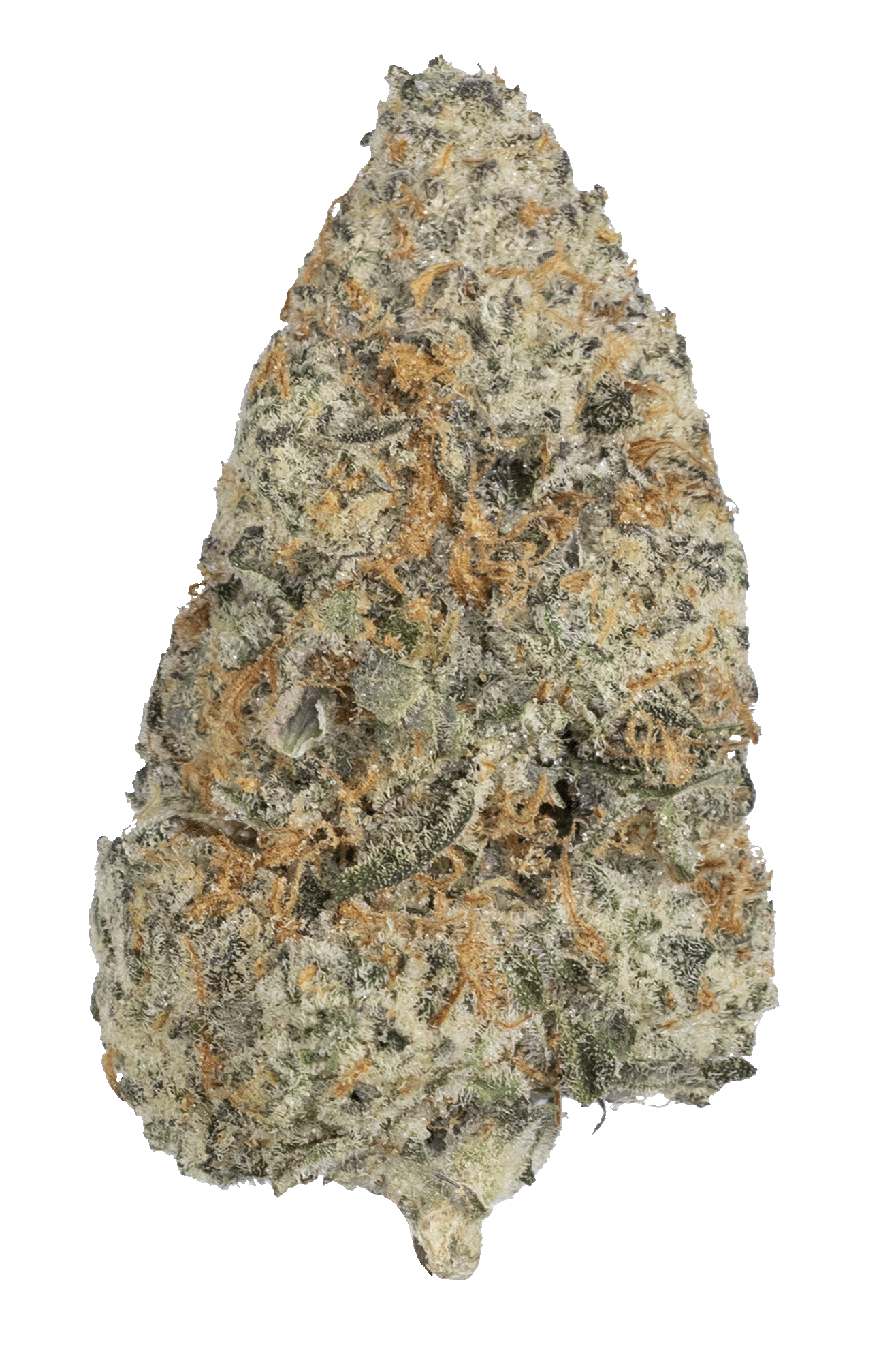 Photograph of product: Garlic Breath - 3.5g